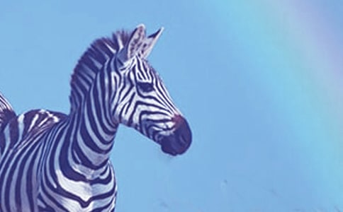 �μ������ڴ����б���