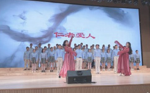 梦见海豹表演