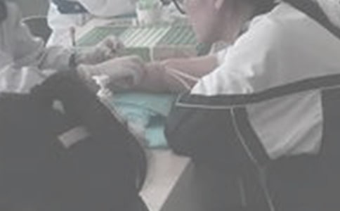 �μ�������Ѫ