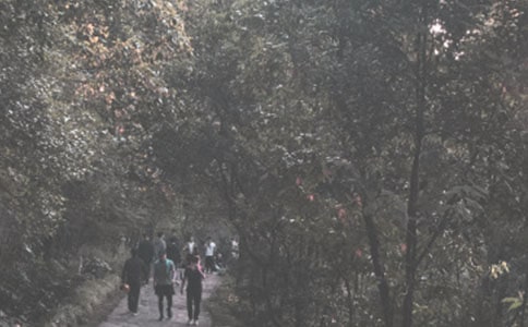 梦见登山