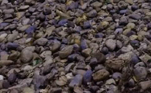 �μ������ʯ