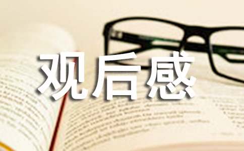 《夫妻那些事》观后感范文