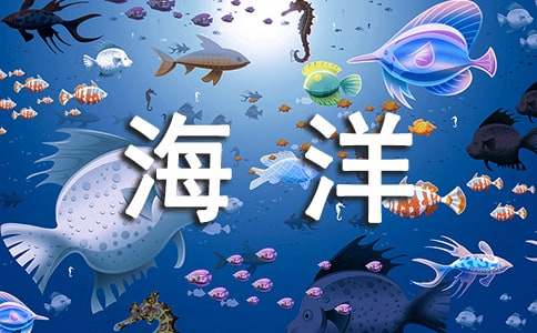 梦见在海洋里观赏鱼类