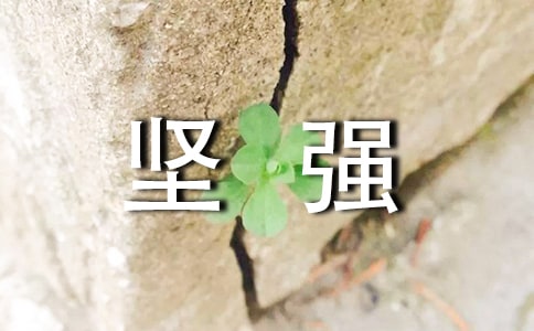 关于坚强唯美短句大全(通用90句)
