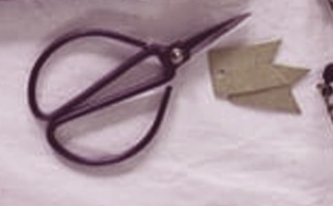 孕期用剪刀易生兔唇宝宝可信吗