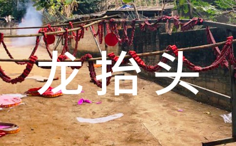 龙抬头 给宝宝剃个好兆头