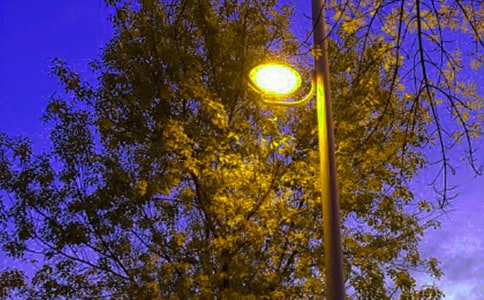 �μ���·��