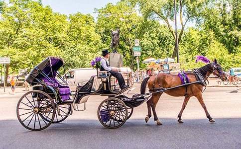 �μ������ϵ���