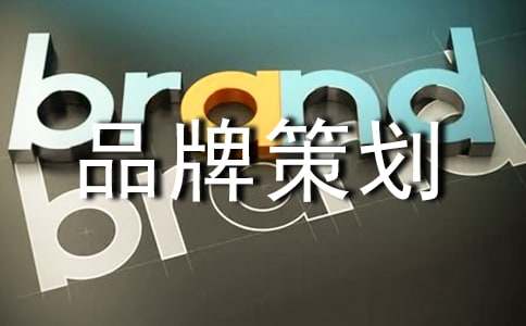 品牌策划经典(5篇)