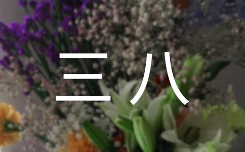 三八魅力女人节活动方案2017