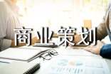 (精品)商业策划