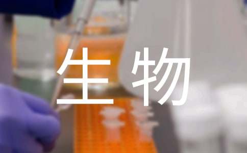 嘘!别吵,胎宝宝也有生物钟!