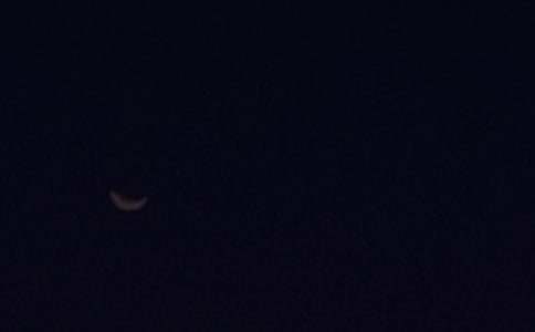 ����Ψ������������QQ��ϼ�82��