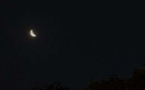 2026��򵥵�Ψ������������ժ¼47��