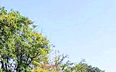唯美的午安心语集合53条
