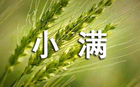 别给新生宝宝过“小满月”