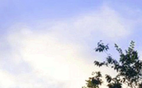 ����Ψ�����簲����47��