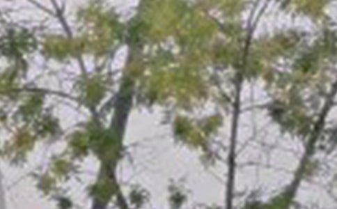 老婆早安心语温暖语句