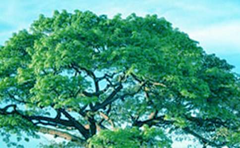 �μ��ڴ�����