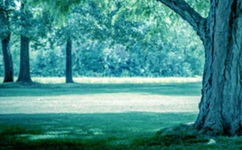 �μ��Դ���