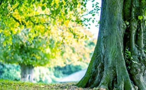 ��ʵ�ã��μ������Ż�