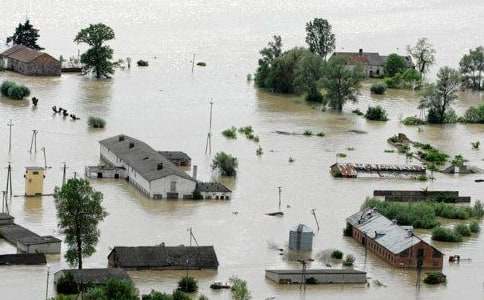 �μ���ˮ����