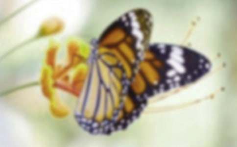 [ʵ��]�μ�����