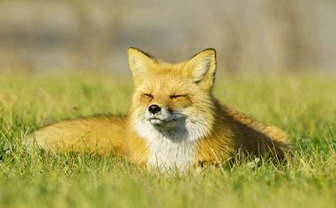 �μ����������