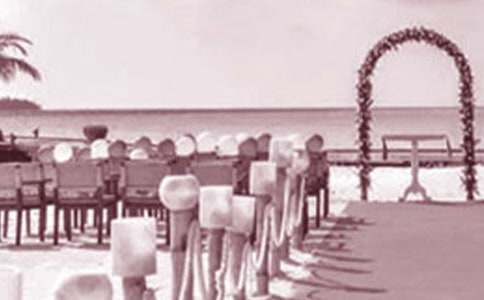 ����߻�[����9ƪ]