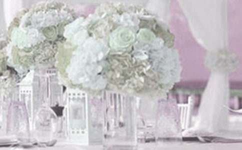 婚礼策划(合集)