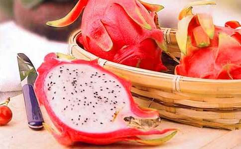 ������ʳ|��ֵ���ߵĻ�����С�ɱ�