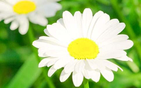 �����Ⱦջ����ı��� �������Щ����������