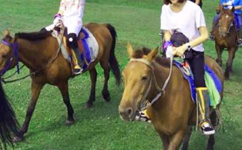 �μ���������