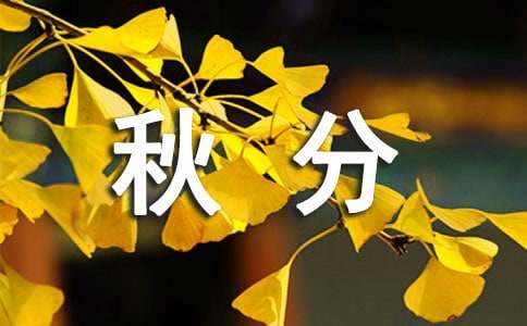 ������ֶ��̺�����