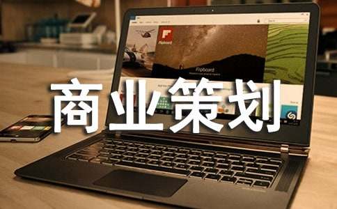 商业策划(实用)