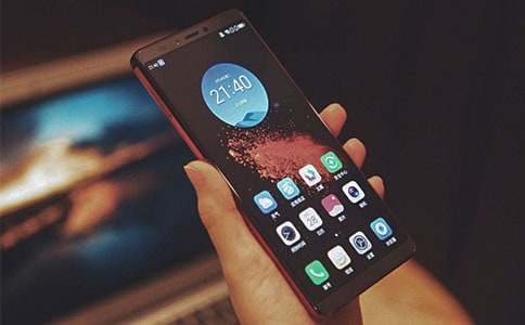 梦见钱包手机丢了