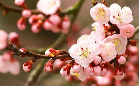 �μ��Լ����һ���