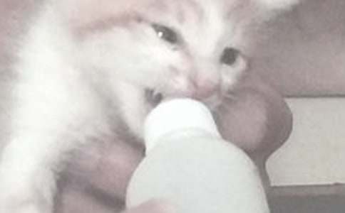 三个月宝宝是按需喂奶还是定时喂奶 婴儿要不要定时定量喂奶