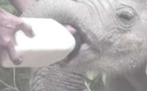 给宝宝喂奶粉时常见的九个误区