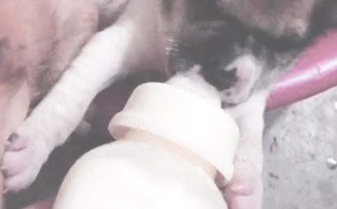 ҹ�������ι���Ĵ�����