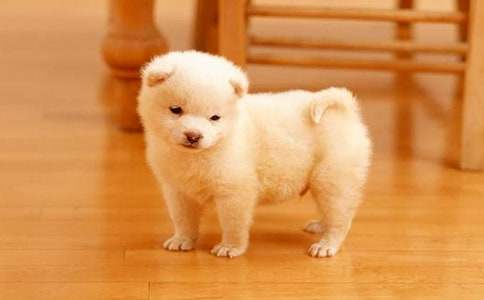 �μ���С��