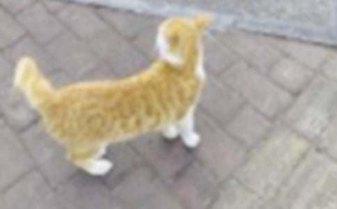 �μ�Сè��������