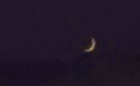 �μ���������ҹ��