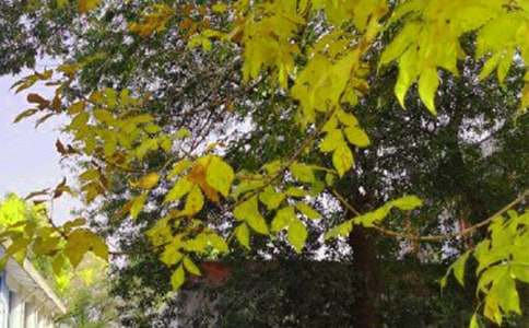 ���ڷ���˵˵�簲һ�仰