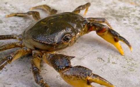 �μ��з����